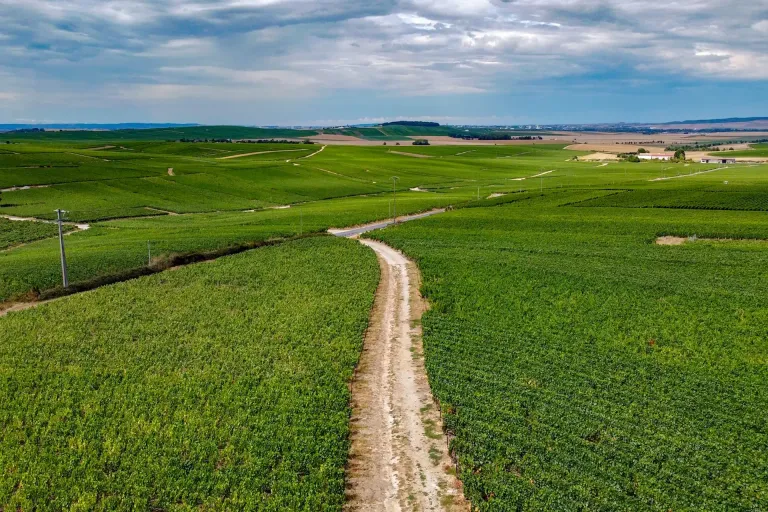 Côte des Bar