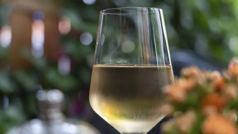 Riesling: In-Depth Wine Profile