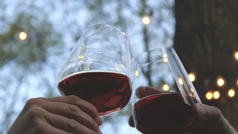 Cabernet Franc: an In-Depth Wine Profile