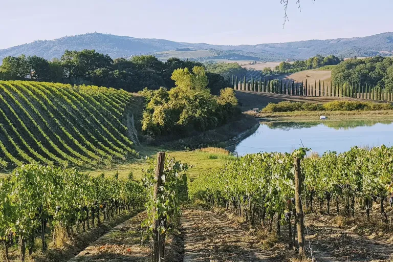 Montecucco Sangiovese