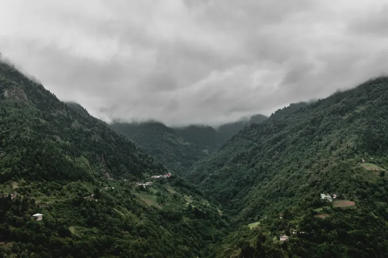 Adjara