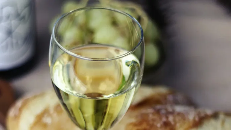 Aligoté: an In-Depth Wine Profile
