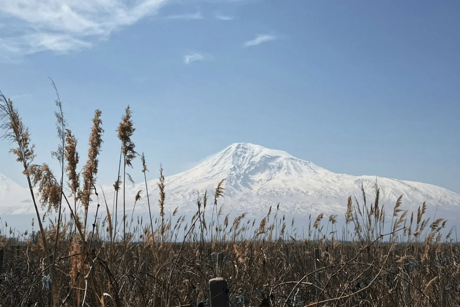 Ararat
