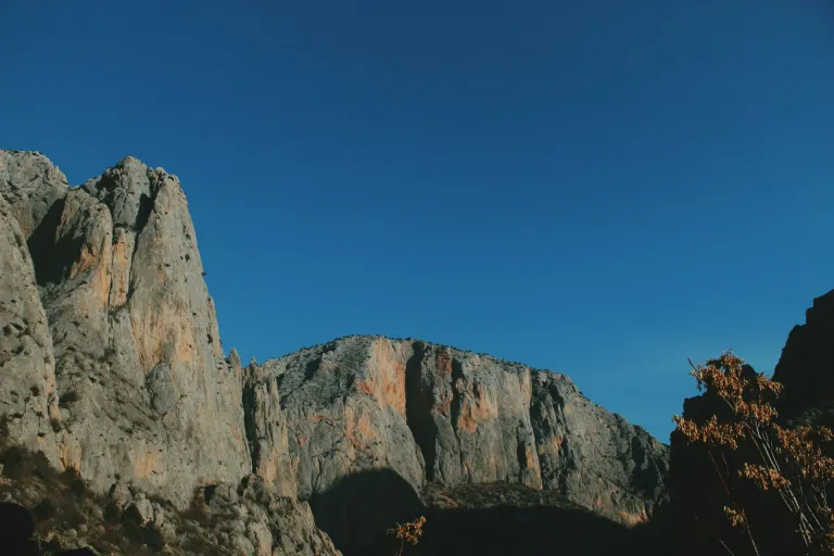 Aydın