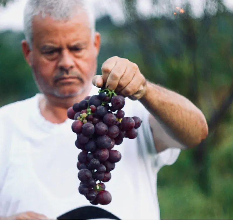 Harvesting for a Sustainable Future