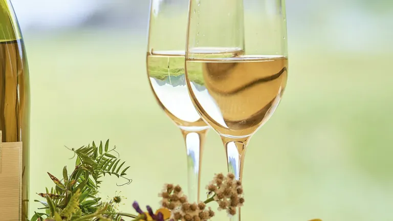 Bordeaux White Blend: An In-Depth Wine Profile