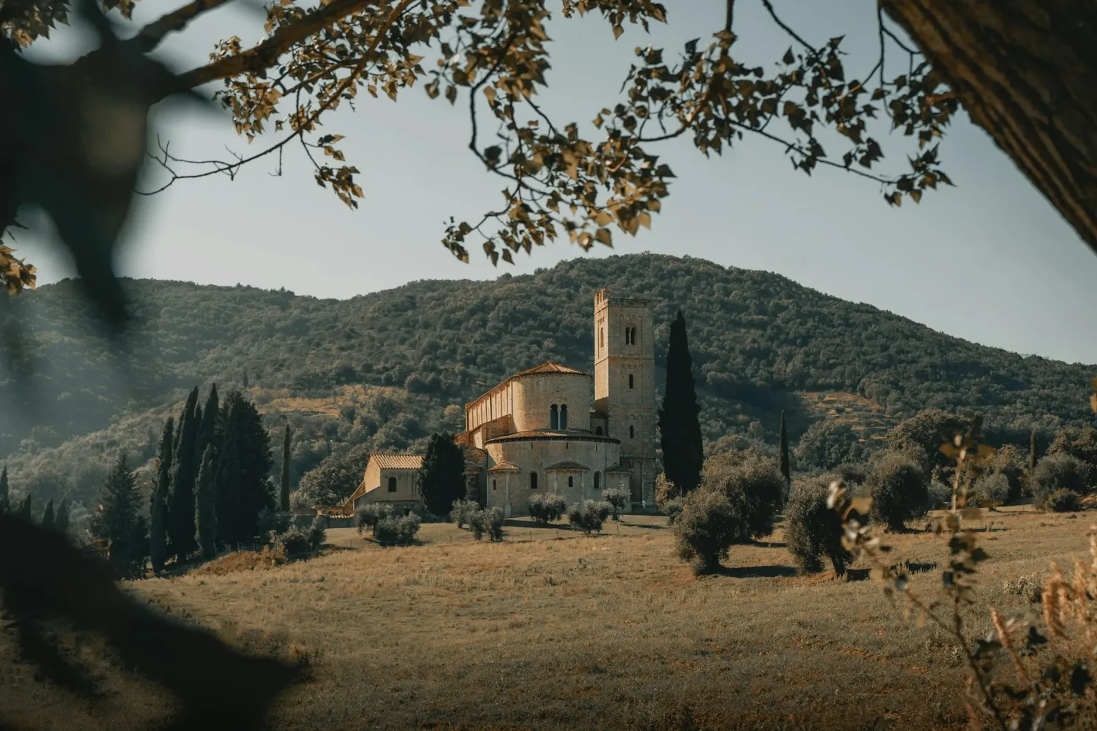 Brunello di Montalcino