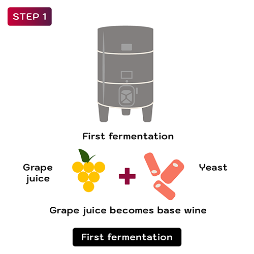 How is Champagne made - Step 1
