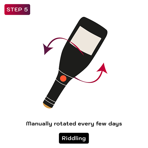 How is Champagne made - Step 5