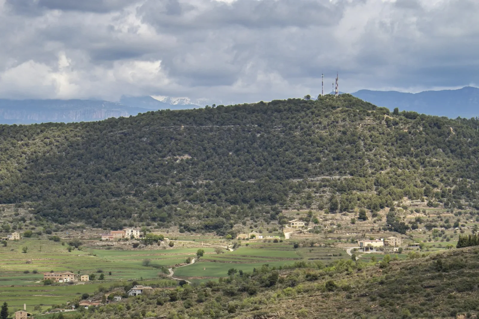 Campo de Calatrava DO