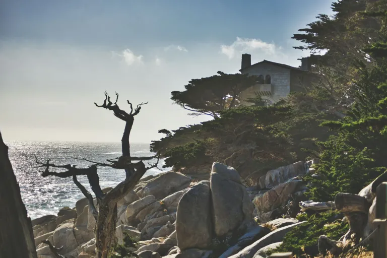 Carmel Coast AVA