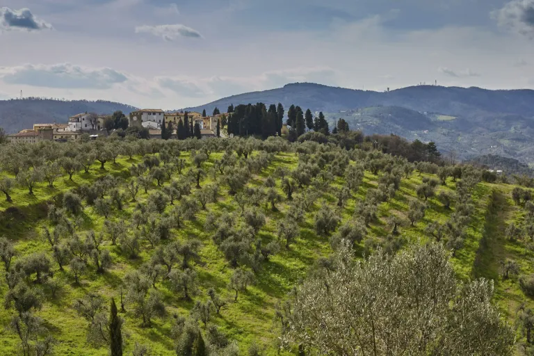 Carmignano