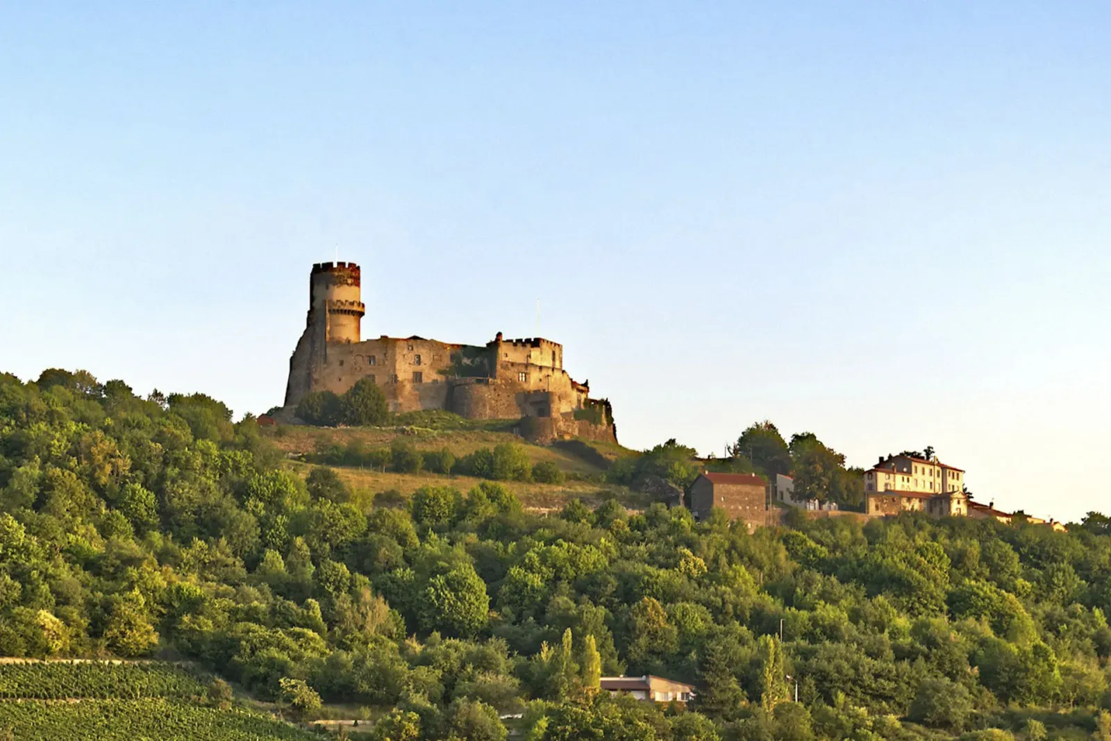Château-Grillet AOC