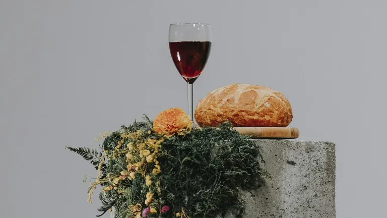 Chambourcin: An In-Depth Wine Profile