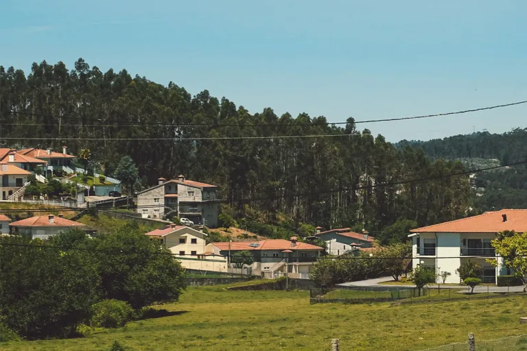 Colli della Sabina DOC