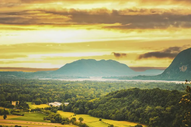 Colli Orientali del Friuli Picolit