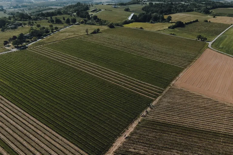 Colli Tortonesi