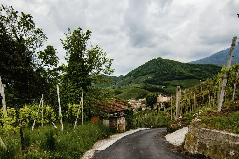Conegliano Valdobbiadene Prosecco