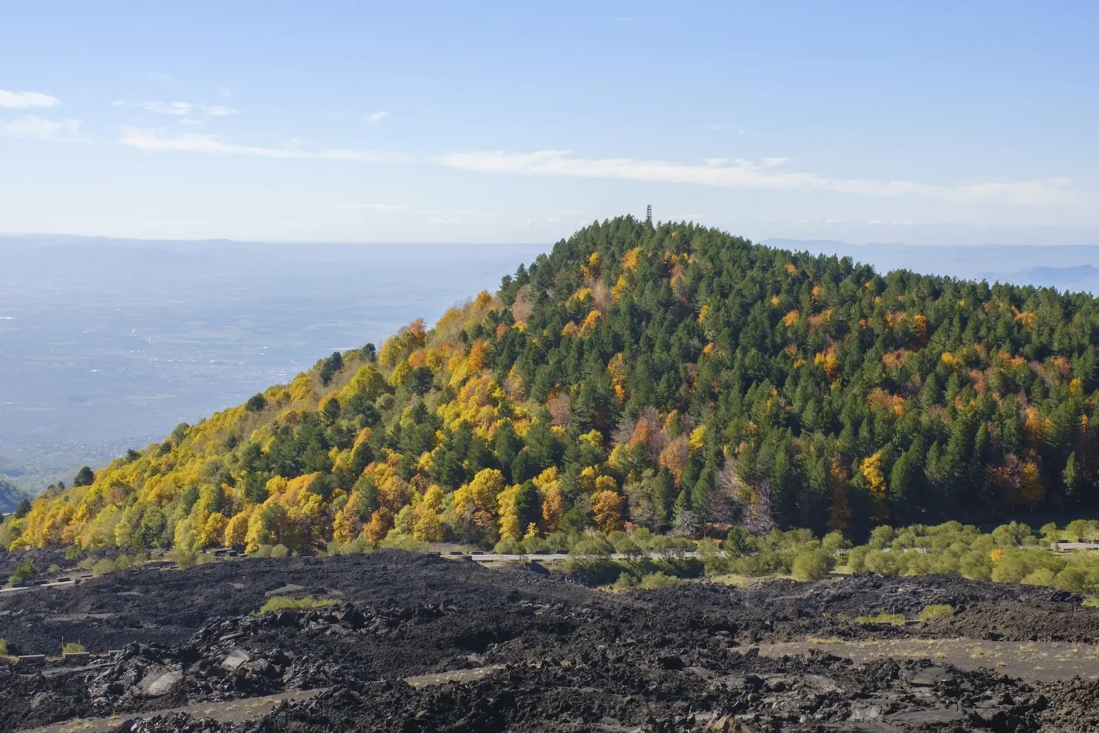 Contea di Sclafani