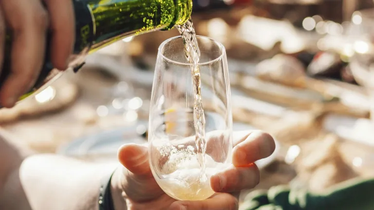 Corpinnat: an In-Depth Wine Profile