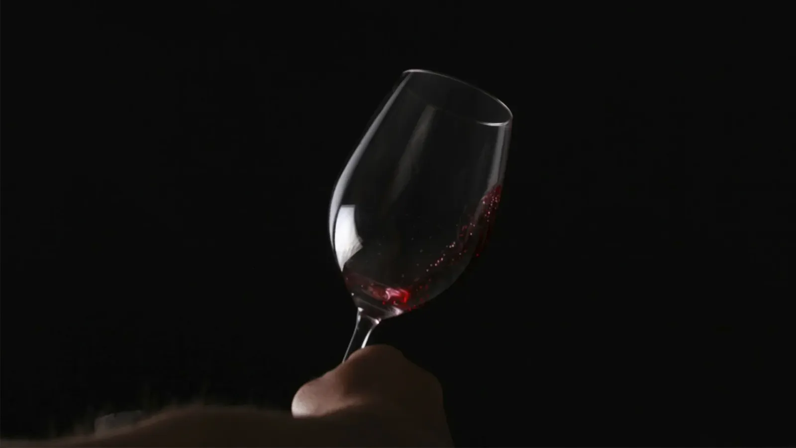 Discovering Croatina: The Unique Grape Behind Bold Italian Wines