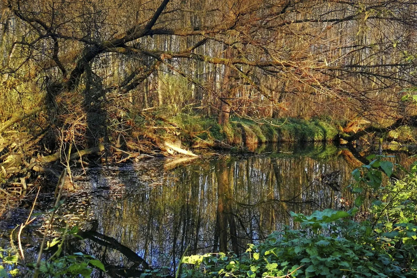 Devičiansky