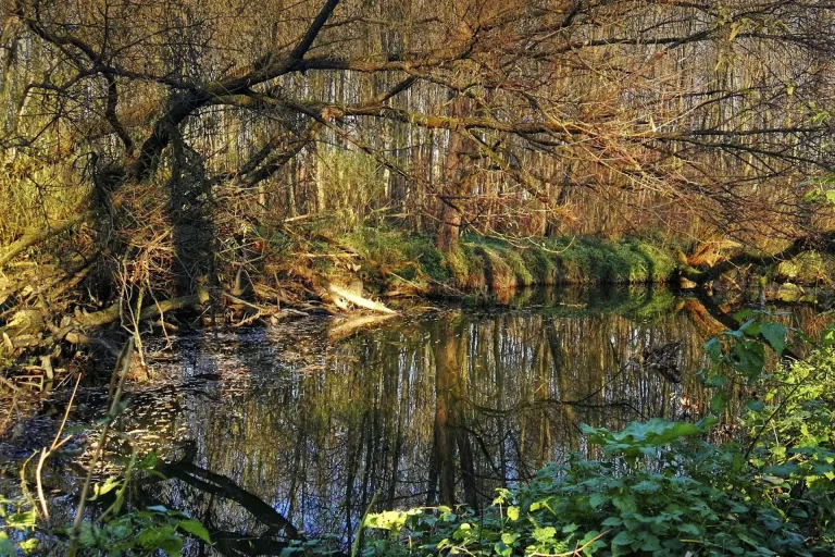 Devičiansky