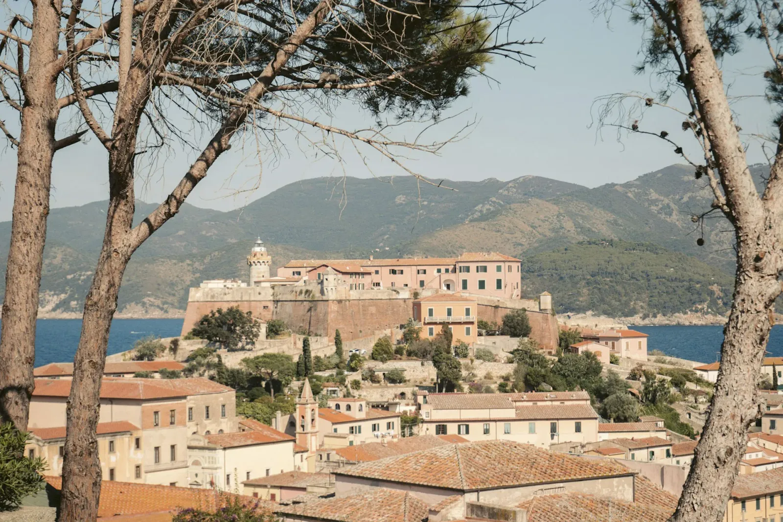 Elba Aleatico Passito