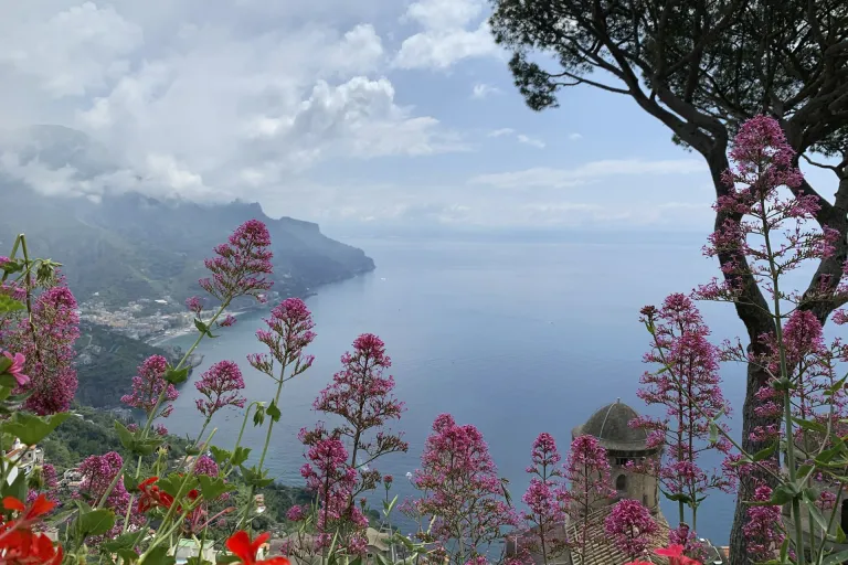 Falanghina del Sannio