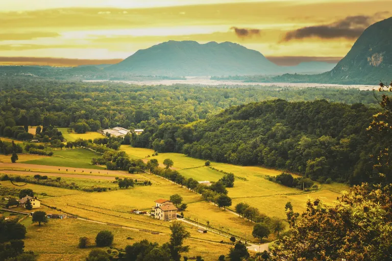 Friuli Colli Orientali