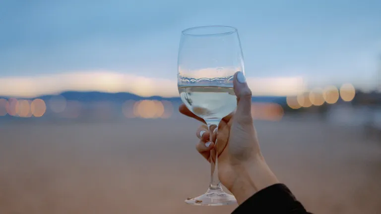 Furmint: An In-Depth Wine Profile