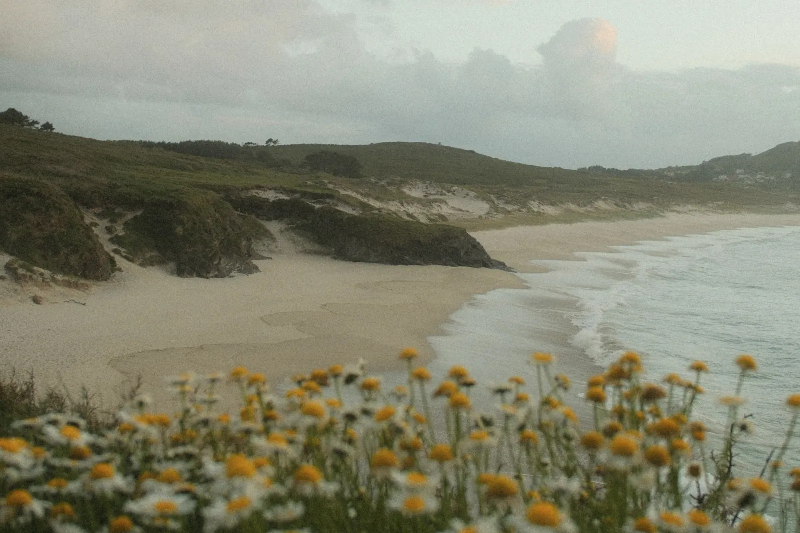 Galicia