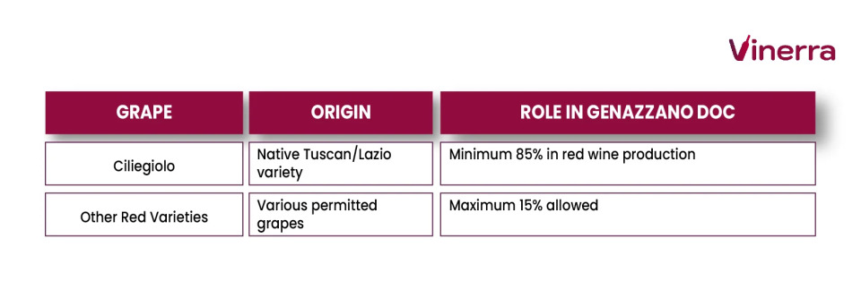 Table with the red grapes of Genazzano, its origin and role in the wines of the DOC.