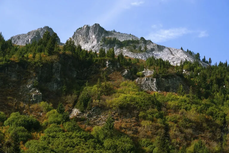 Goose Gap AVA