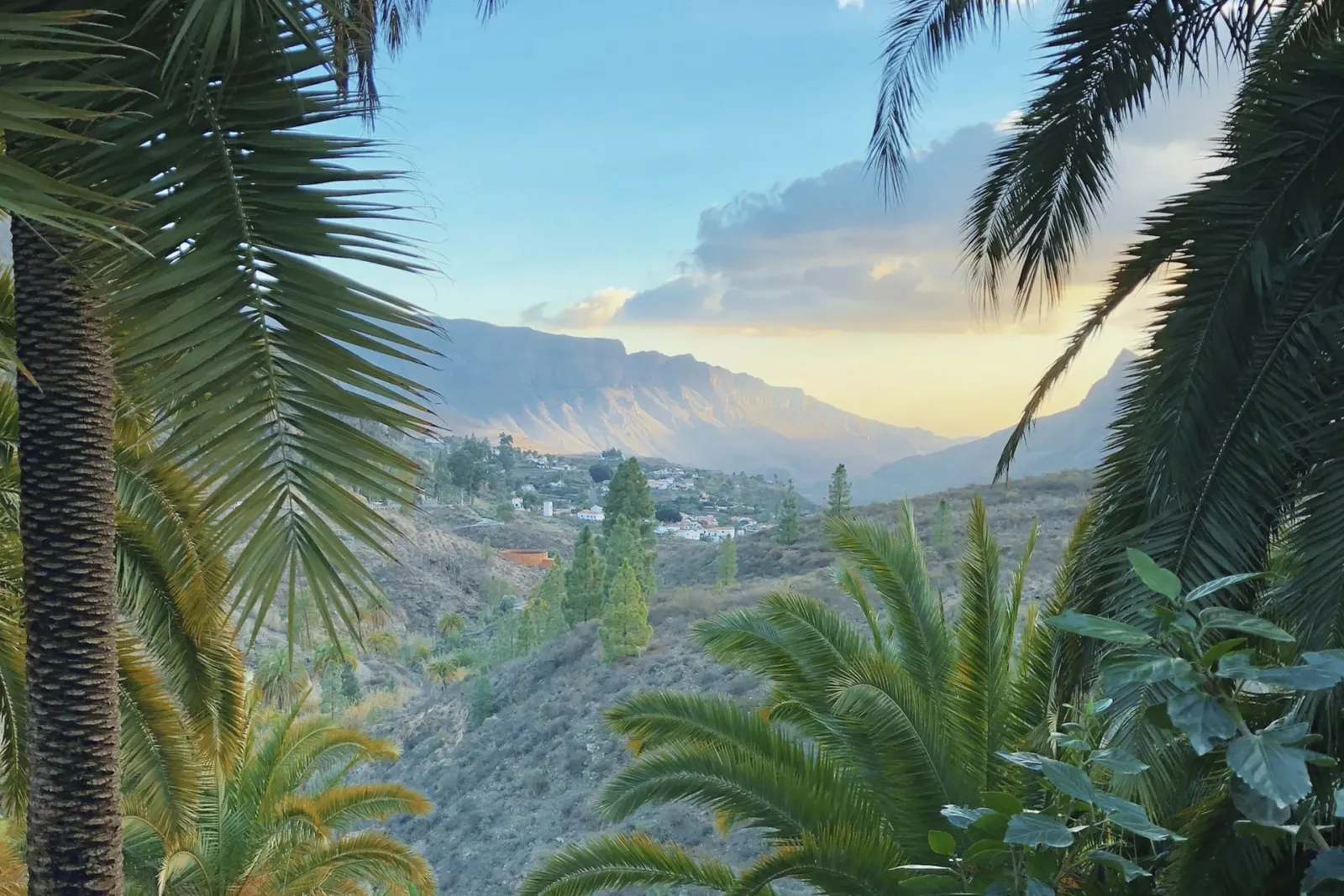 Gran Canaria DO