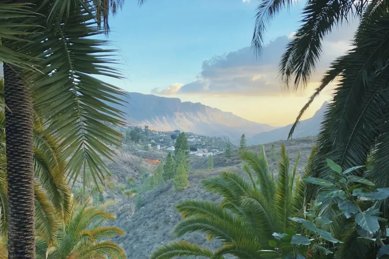 Gran Canaria DO