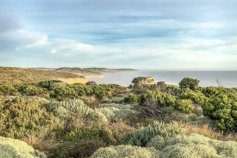 Great Southern