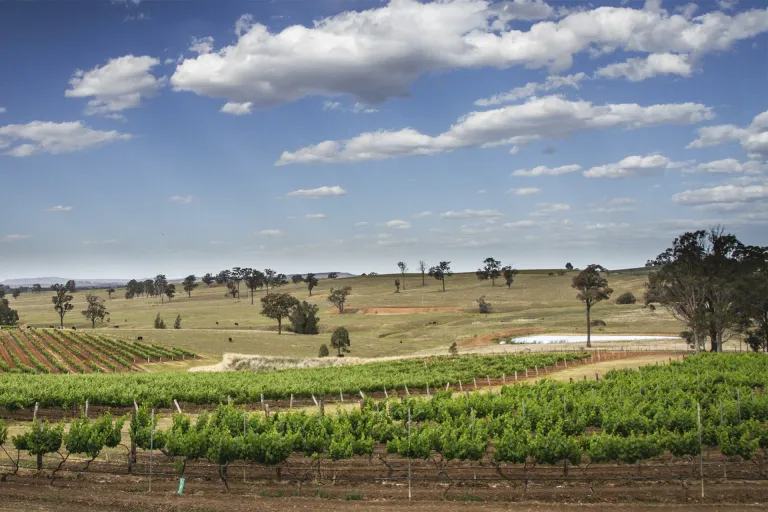 Hunter Valley