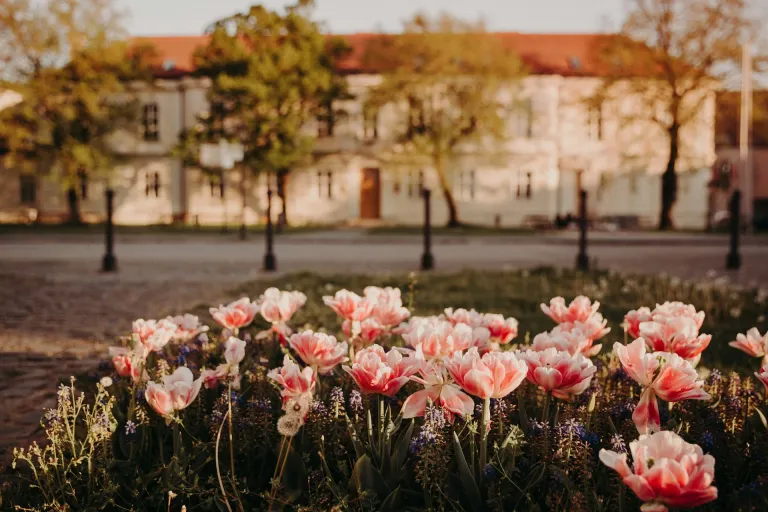Hurbanovo (Nitra)
