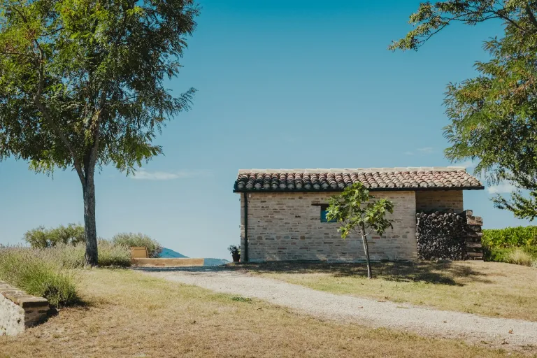 I Terreni di Sanseverino DOC