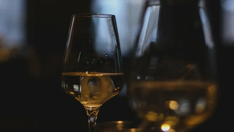 Incrocio Bruni 54: an In-Depth Wine Profile