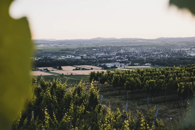 Kamptal