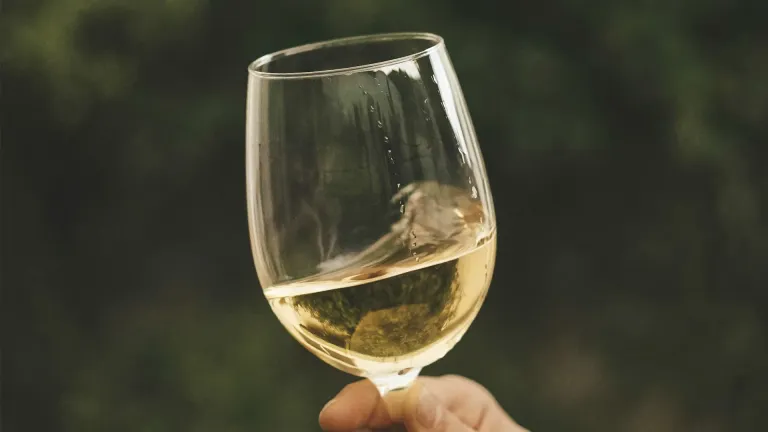 Kanella: an In-Depth Wine Profile