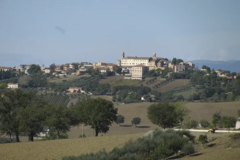 Lacrima di Morro DOC