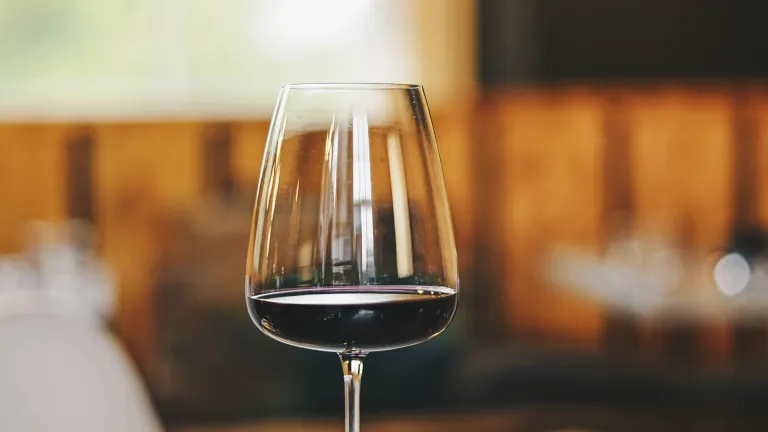Lambrusco Grasparossa Wine: an In-Depth Profile