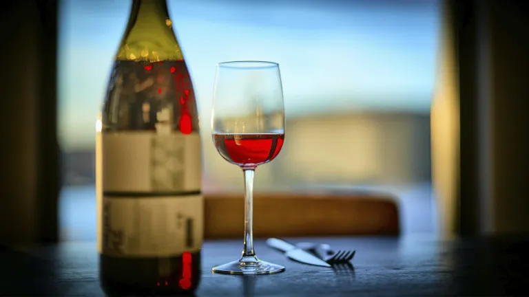 Lambrusco Maestri: an In-Depth Wine Profile