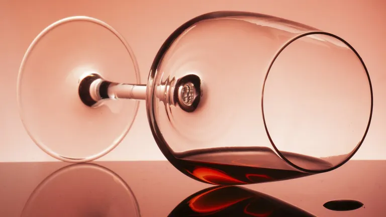 Lambrusco Salamino: an In-Depth Wine Profile
