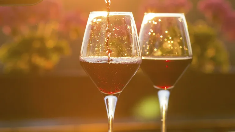 Lambrusco di Sorbara: an In-Depth Wine Profile