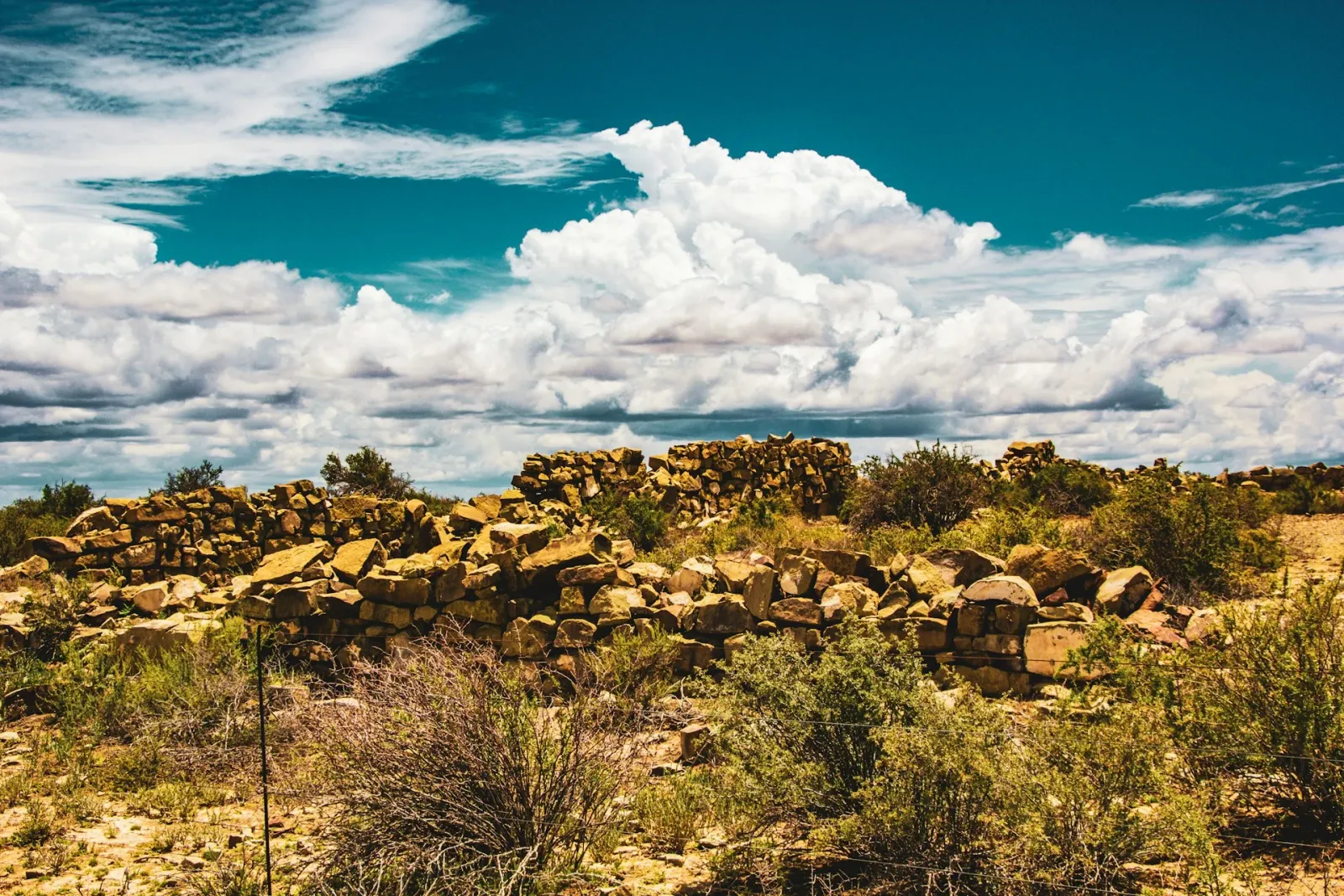 Langeberg-Garcia