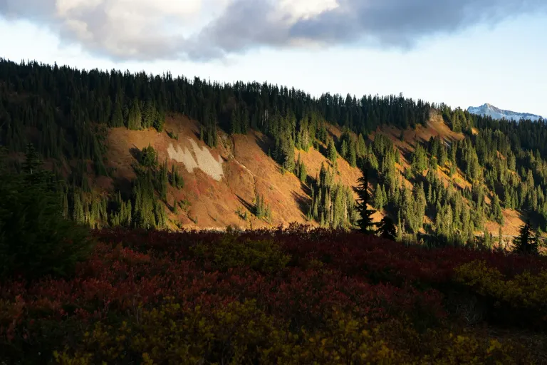 Lewis-Clark Valley AVA